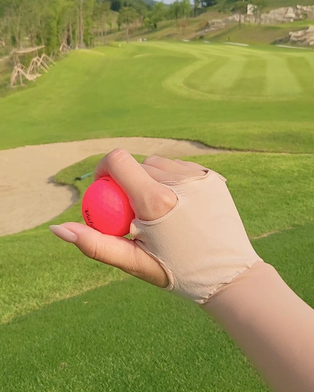 팔토시 추가 이미지