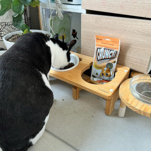 닥터뮨 쿠앙 크런치덴탈 덴탈 고양이 이빨과자 치석 치태 입냄새 연어, 4... 솔직 후기 | 실제 사용자 리뷰 총정리 - 상품 이미지 4