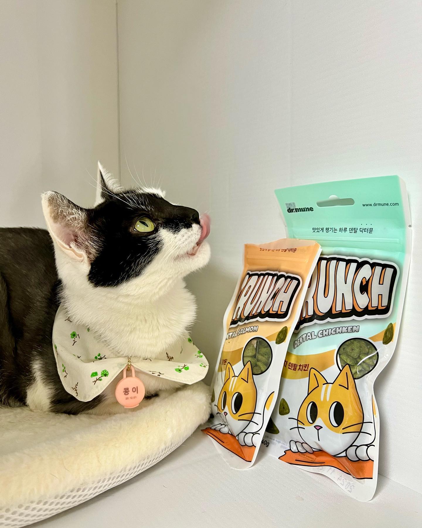 닥터뮨 쿠앙 크런치덴탈 덴탈 고양이 이빨과자 치석 치태 입냄새 연어, 40g, 3개 이미지 3