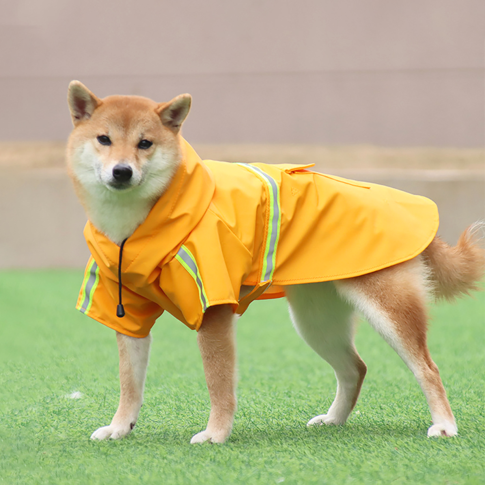 중형견우비 강아지 비옷 레인코트 판초 진돗개 XL