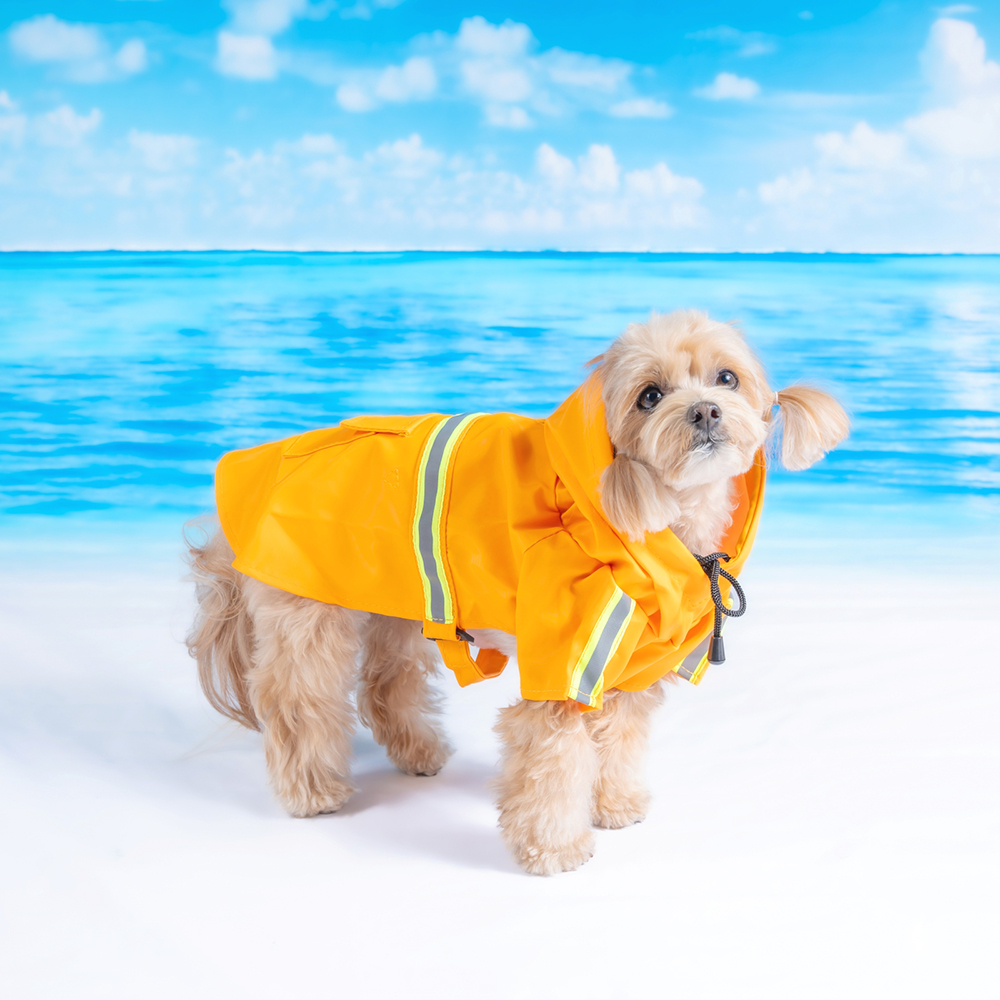 강아지우비 반려견 비옷 레인코트 판초 강아지옷 S