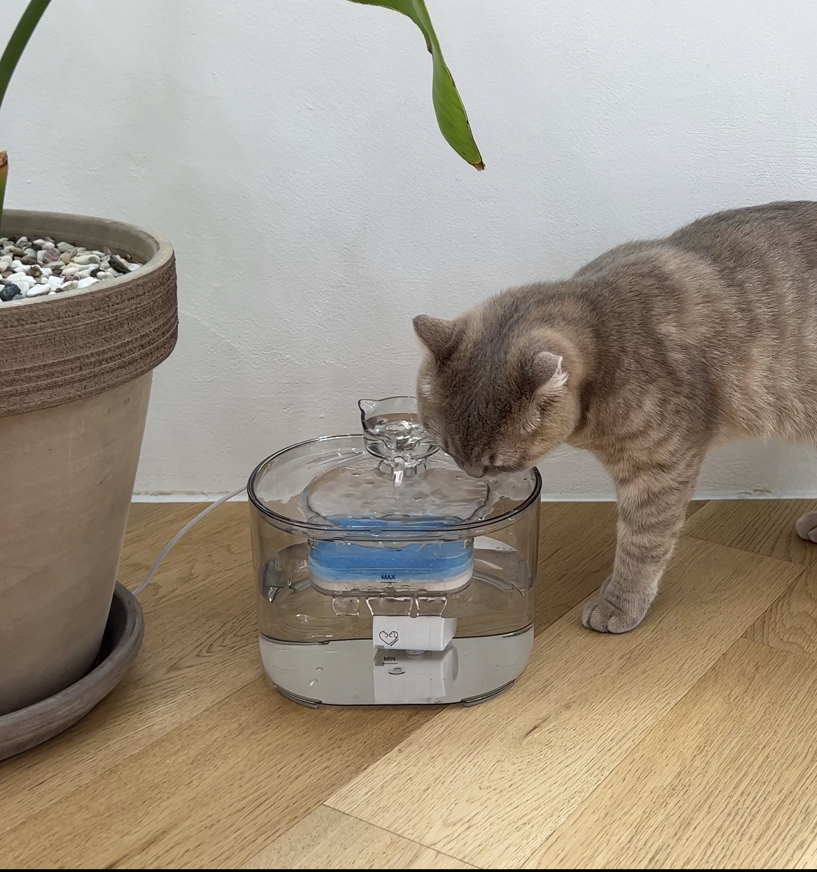 보드미펫 고양이 강아지 정수기 자동 모션센서 급수기 음수대 2 이미지 7