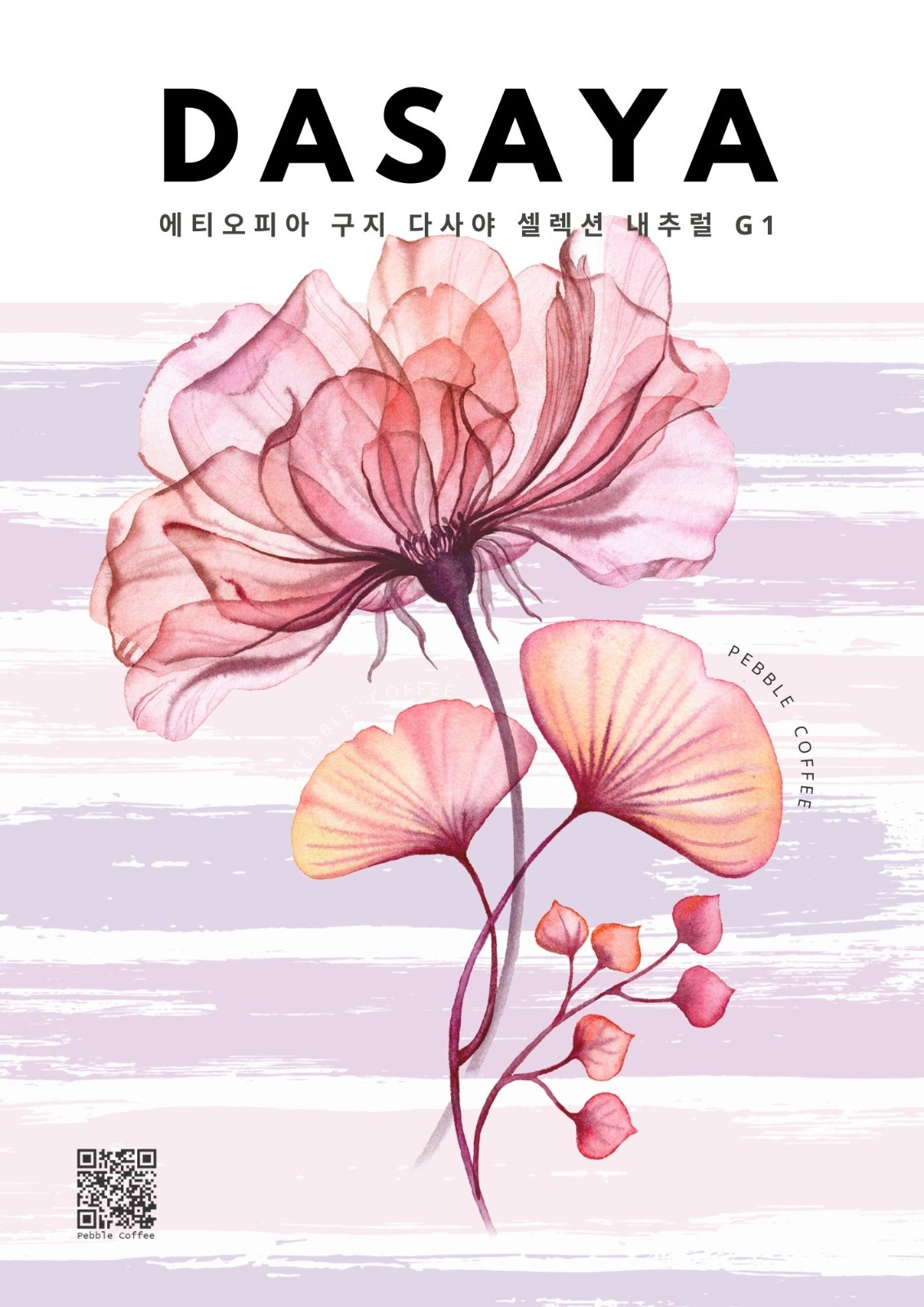 에티오피아 구지 다사야 셀렉션 내추럴 G1 5KG (ETHIOPIA GUJI DASAYA SELECTION NATURAL G1)