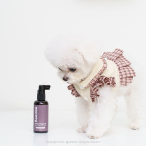 잠보아 강아지 구강 스프레이 데일리 입냄새 덴탈 케어 플라그리스 3개 솔직 후기 | 실제 사용자 리뷰 총정리 - 상품 이미지 3