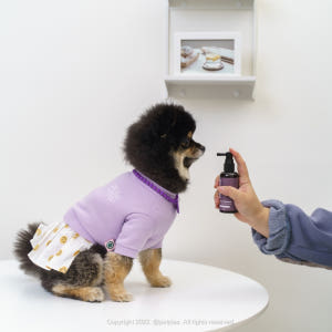 잠보아 강아지 구강 스프레이 데일리 입냄새 덴탈 케어 플라그리스 3개 솔직 후기 | 실제 사용자 리뷰 총정리 - 상품 이미지 2