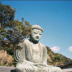 일본 [카나가와 문화 탐방] 가마쿠라 대불, 에노시마, 가마쿠라 고등학교... 솔직 후기 | 실사용자 리뷰 분석 - 상품 이미지 2