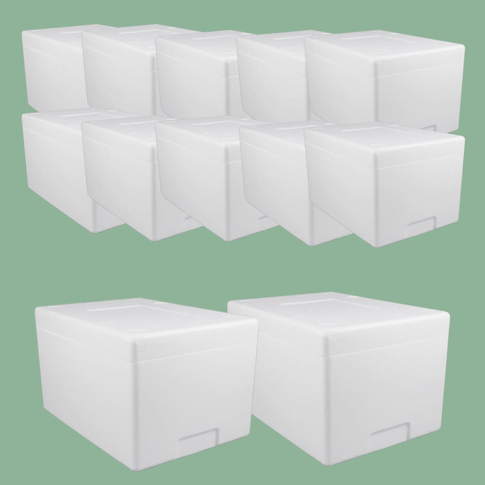 변신한 고양이 집