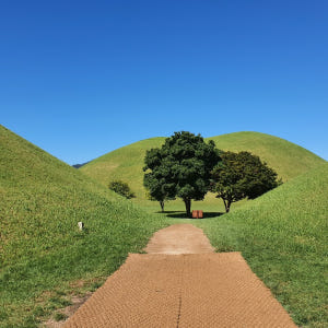 KTX 경주 부산 1박 2일 KTX 기차여행 문화해설사 시티투어 해운대 ... 솔직 후기 | 실사용자 리뷰 분석 - 상품 이미지 3