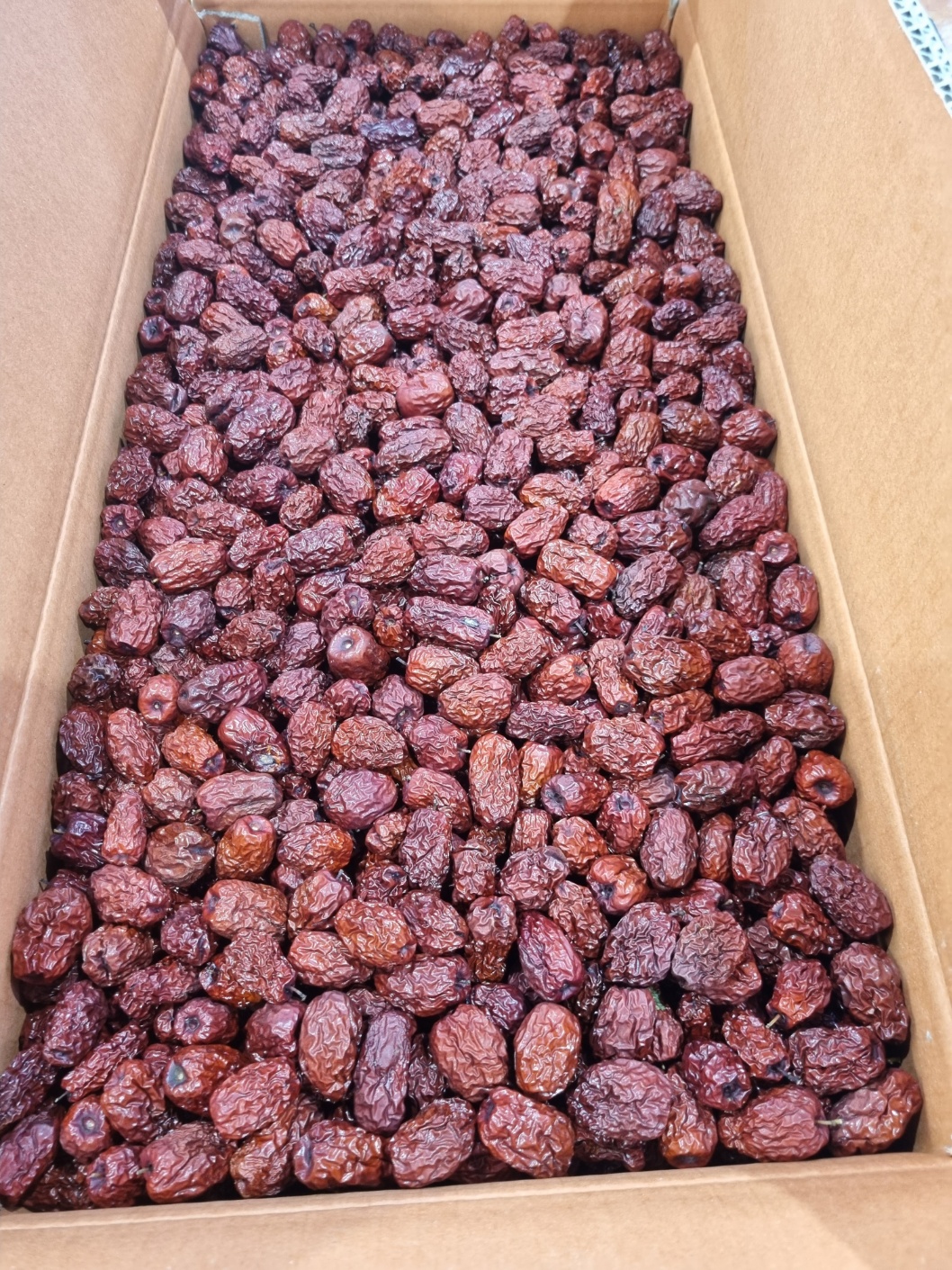 건대추 특초 차 다과 찜 약밥용 10kg, 1개 - 상세 이미지 5