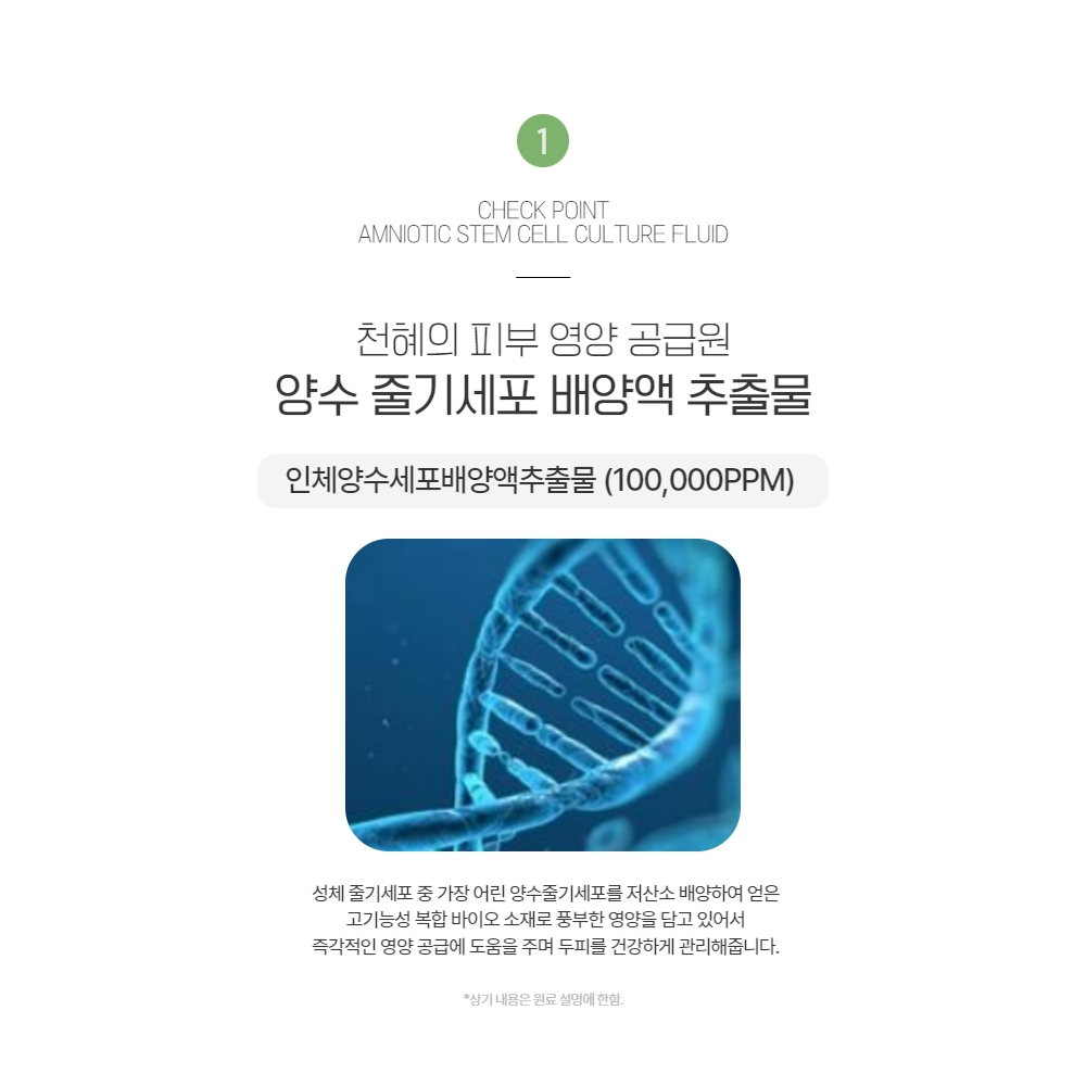 셀비아 두피케어 지루성피부염 두피앰플 이미지 6