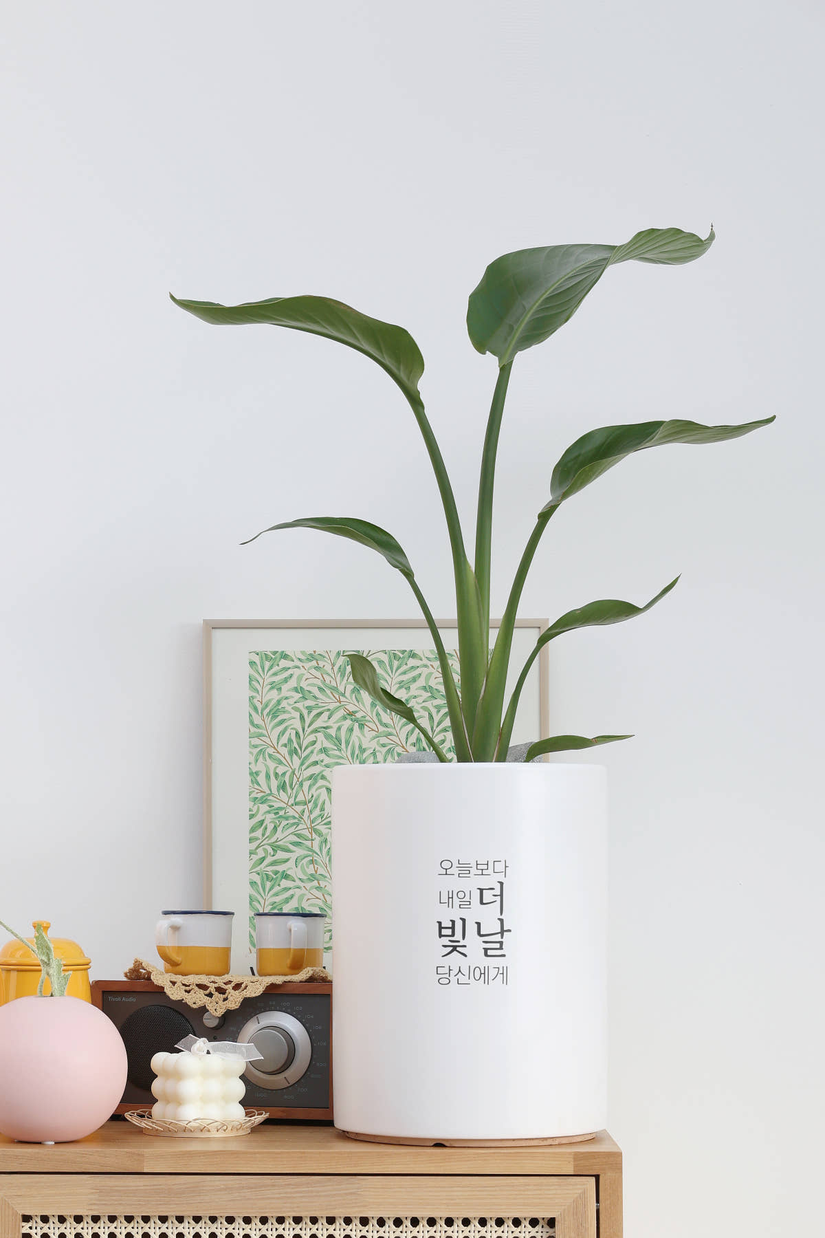 보태드림 채움화분 메세지화분 주문제작 맞춤형 집들이선물