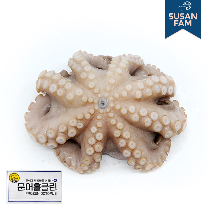 세척 문어 5Kg 손질 냉동문어 생문어 홀클린 돌문어 참문어 업소용 모리타니아 세네갈