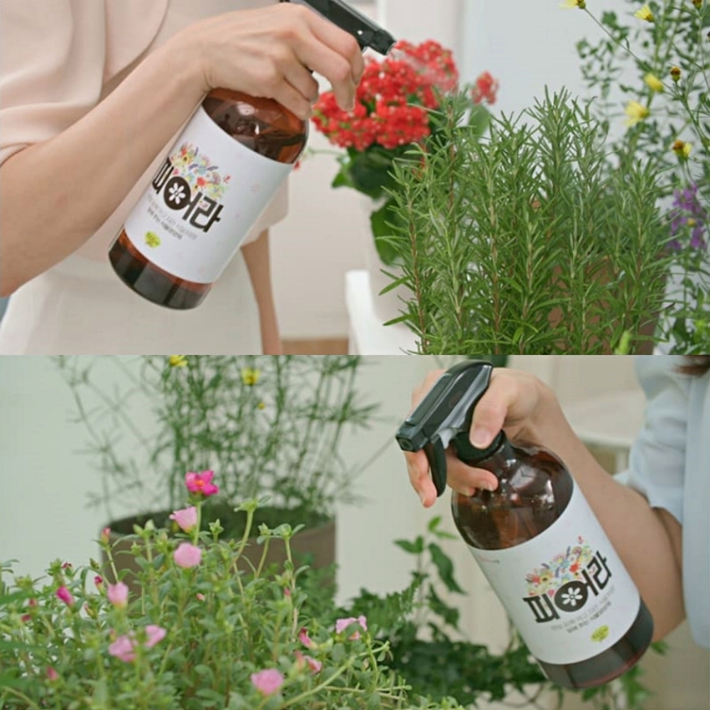 식물닥터 피어라 식물영양제 2통 원예영양제 복합비료 관솔목초액 - 상세 이미지 2
