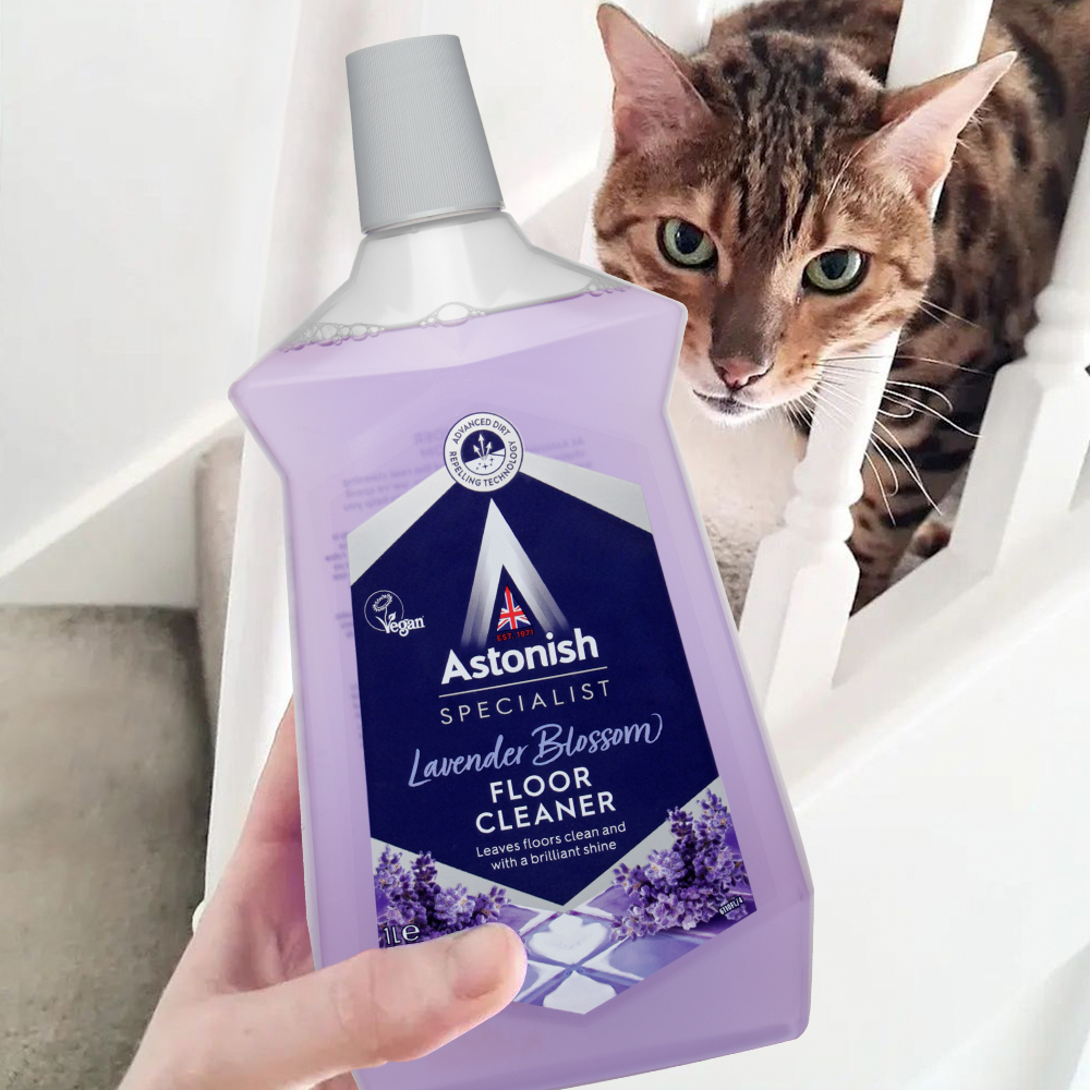 [본사] 아스토니쉬 바닥세정제 클리너 광택 오염 물걸레 청소_라벤더 제품 이미지