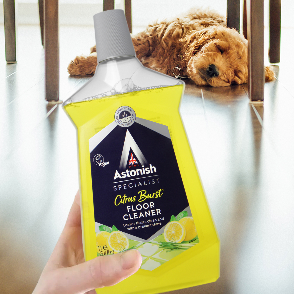 [본사] 아스토니쉬 바닥세정제 클리너 광택 오염 물걸레 청소_시트러스 제품 이미지