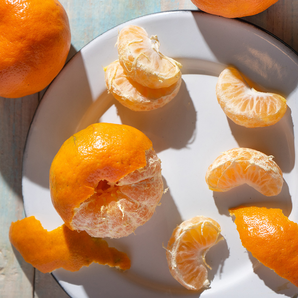 제주 꽃귤 윈터프린스 레드향 천혜향 한라봉 카라향 신비향 수라향 미향감귤 오도리 황금향 홍미향 2kg 3kg 5kg