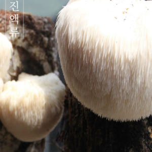 류충현 노루궁뎅이버섯 엑기스 저온 추출액 즙 액기스 상황 차가 약용 버섯... 맛있게 먹은 솔직 후기 - 상품 이미지 2