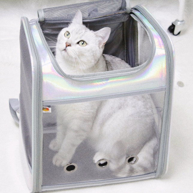 가티가티 고양이 이동가방 이동장 - 상세 이미지 4