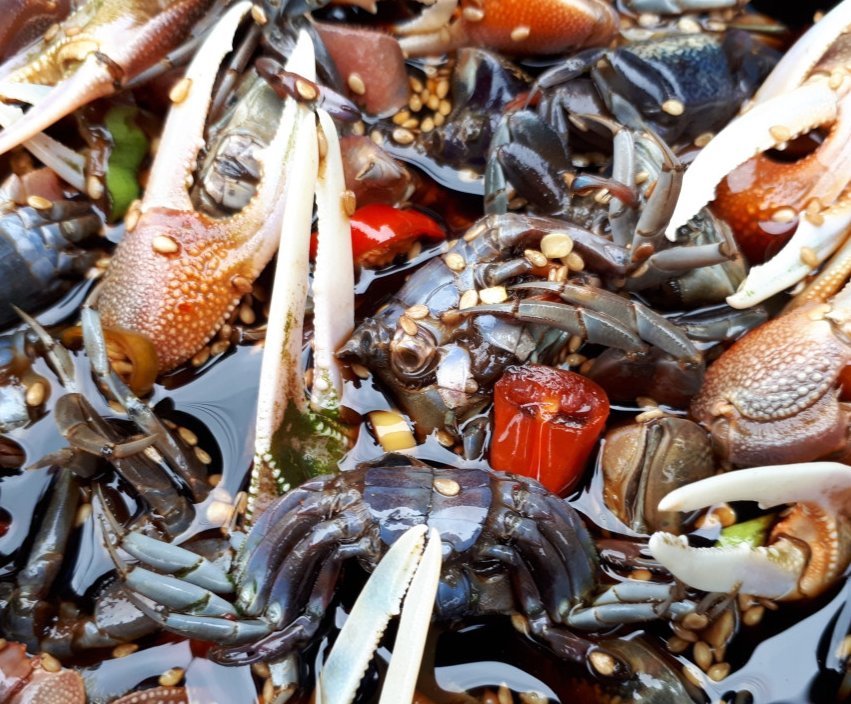 활농게 1kg 농개 뻘농게 농게장 농게간장게장 능쟁이 붉은발농게(조업당일발송상품) - 상세 이미지 2