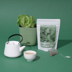 카페인없는차 흑하랑 상추 차 국산 음료 Tea 티백 세트 맛있게 먹은 솔직 후기 - 상품 이미지 2