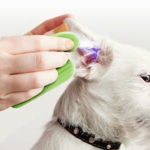 바비온 강아지 고양이 3in1 선인장 LED 안전 발톱 깎이 005A 솔직 후기 | 실제 사용자 리뷰 총정리 - 상품 이미지 3