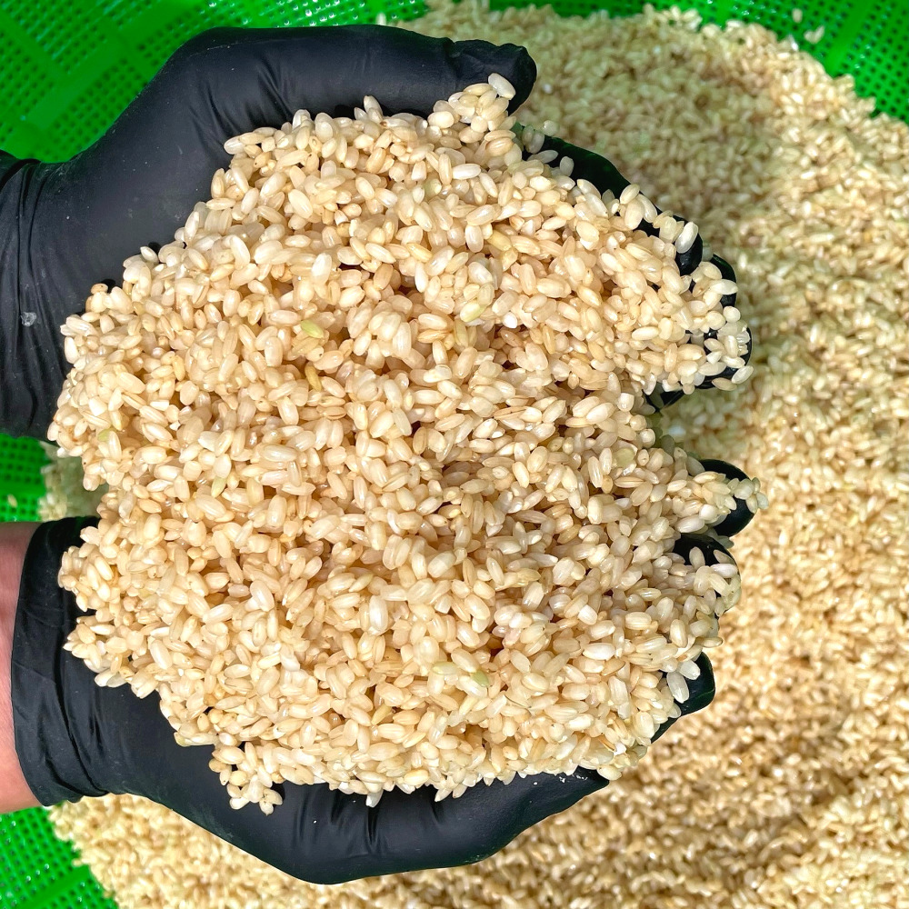 대월떡집 습식 현미 찹쌀가루 국내산 1kg - 상세 이미지 2