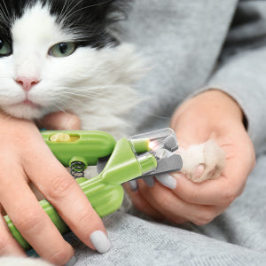 바비온 강아지 고양이 3in1 선인장 LED 안전 발톱 깎이 005A 솔직 후기 | 실제 사용자 리뷰 총정리 - 상품 이미지 4