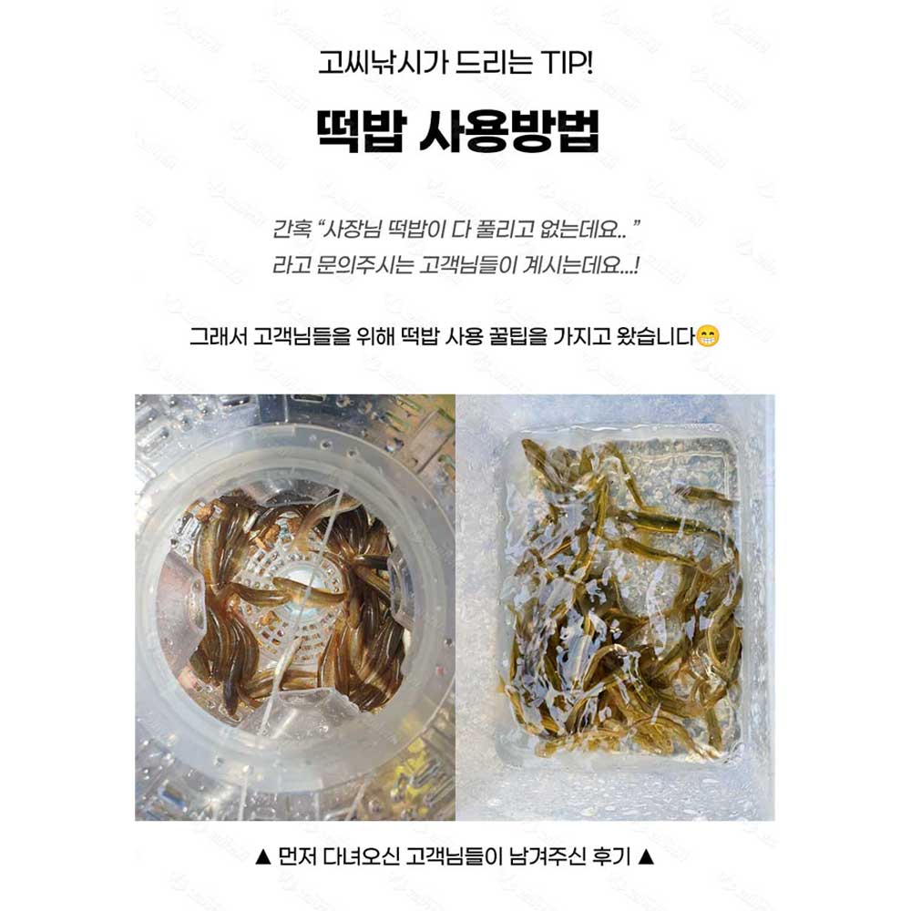 고씨낚시 4구 어포기 투명 채집 어항 계곡 통발 민물 물고기 낚시 잡기 어망 - 상세 이미지 4
