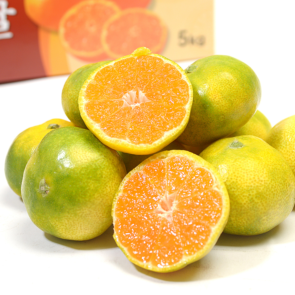 프레쉬하임 제주도 서귀포 고당도 황금향 청귤 노지 타이벡 하우스 감귤 귤 1Kg 산지직송 이미지 6