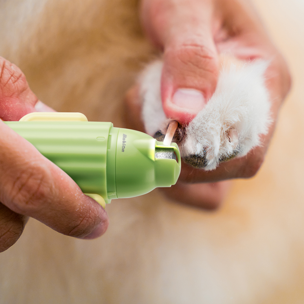 [기획] 바비온 강아지 고양이 3in1 선인장 발톱깎이+터보 전동 그라인더 발톱 갈이 다듬기 세트