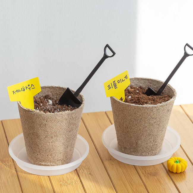 강낭콩 한컵화분 씨앗 새싹 재배 키우기 세트 DIY 키트 - 상세 이미지 4