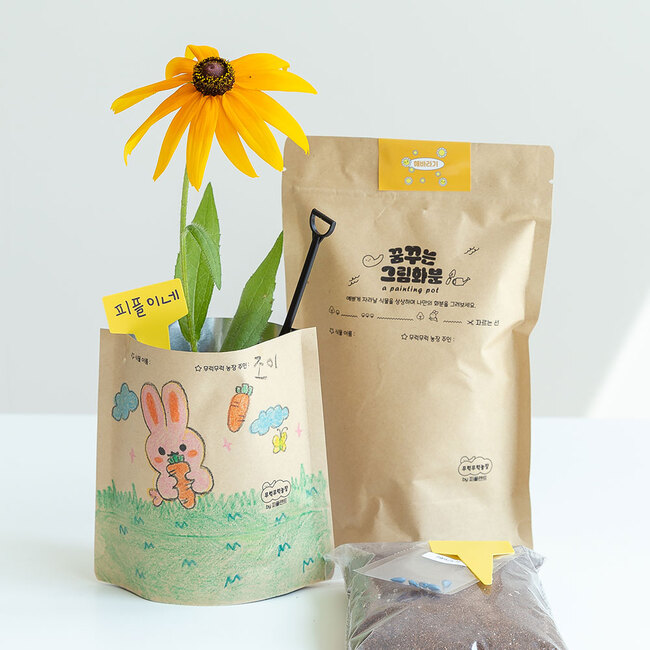 해바라기 그림화분 씨앗 새싹 재배 키우기 세트 DIY 키트 - 상품 이미지