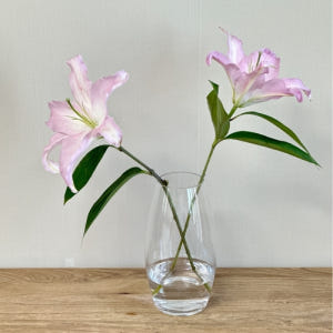 백합꽃 생화 쉐라 시베리아 솔직 후기 | 실사용자 리뷰 분석 - 상품 이미지 3