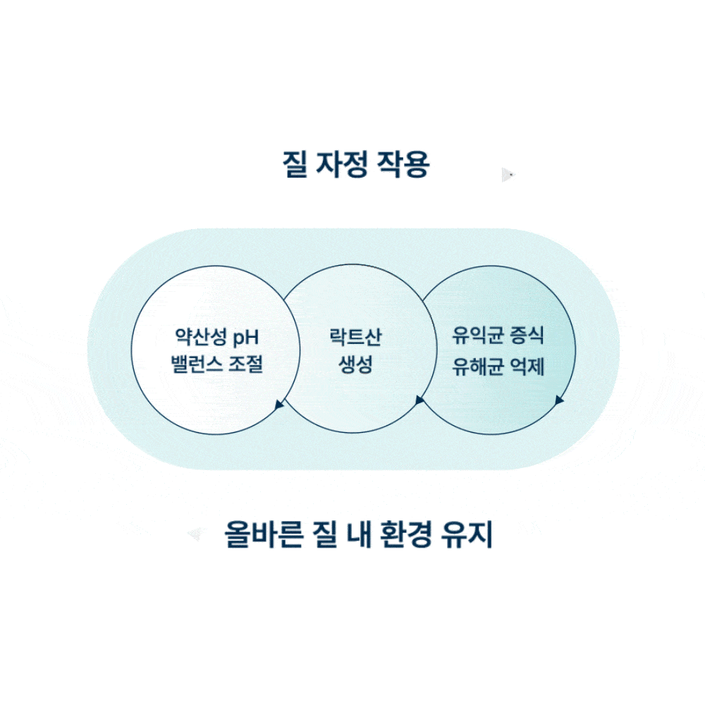 이너케어 젤 질세정기 3개입, 4개 이미지 4