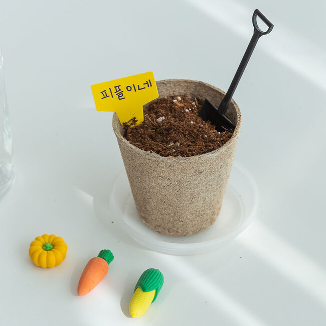 강낭콩 한컵화분 씨앗 새싹 재배 키우기 세트 DIY 키트 - 상세 이미지 3
