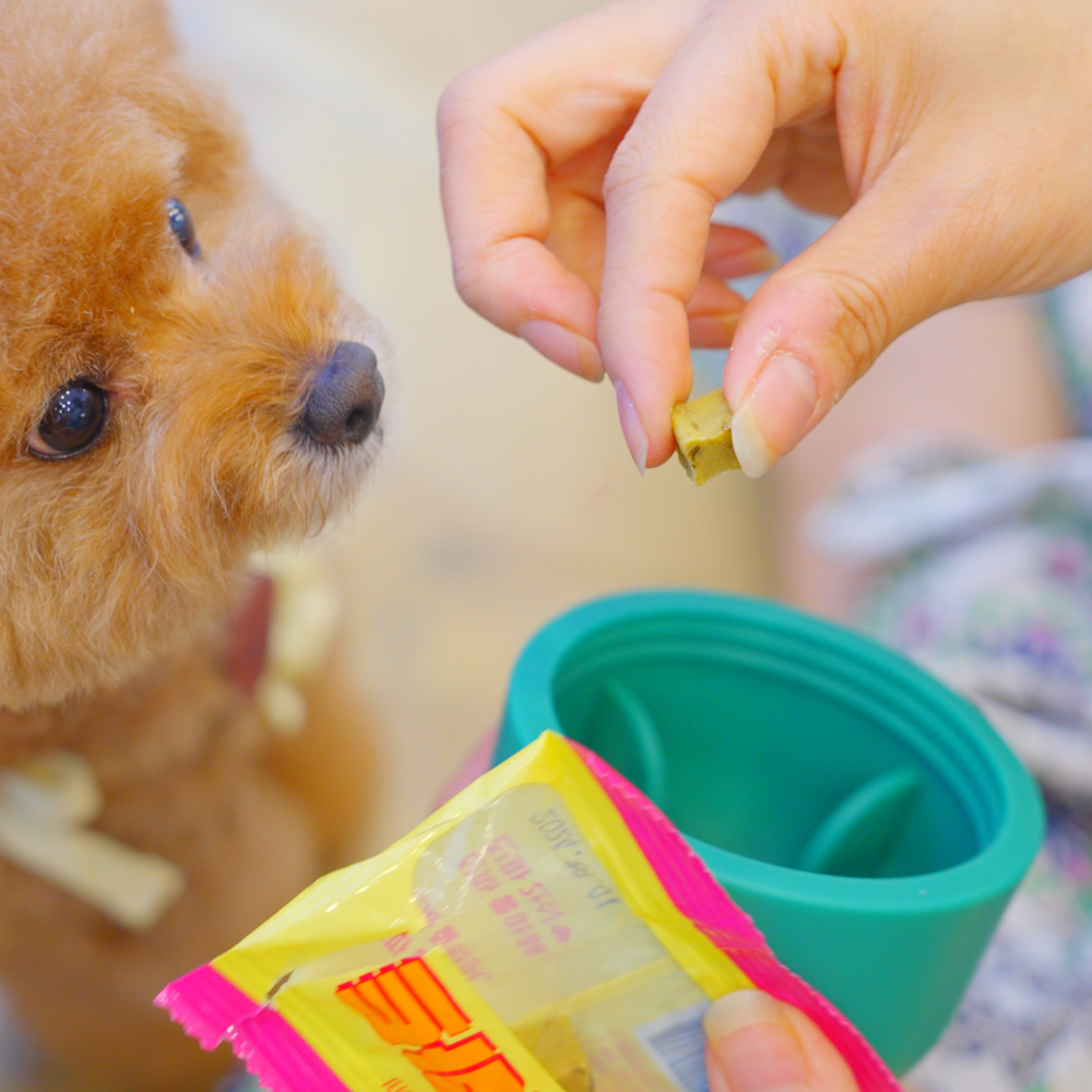 페페로니 실리콘 노즈워크 장난감