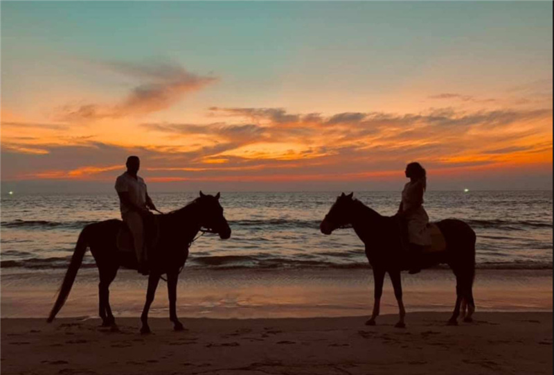 태국 Phuket International Horse Club의 해변 승마 이미지 3