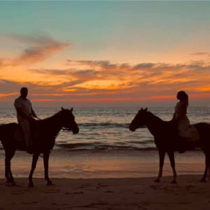 태국  Phuket International Horse Club의 해변 ... 솔직 후기 | 실사용자 리뷰 분석 - 상품 이미지 3