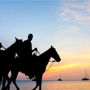 태국  Phuket International Horse Club의 해변 ... 솔직 후기 | 실사용자 리뷰 분석 - 상품 이미지 1