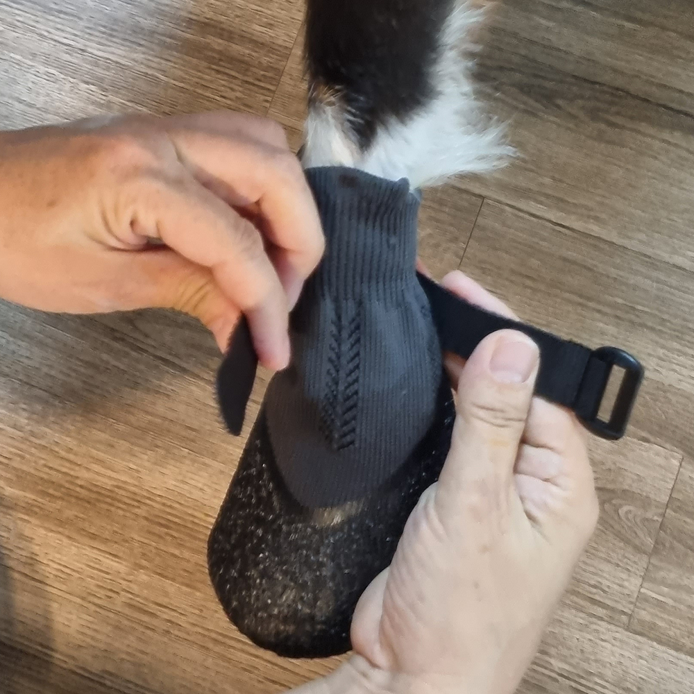 위드레오 강아지신발 대형견 중형견 소형견 미끄럼방지양말 방수 산책양말 4pcs XXS