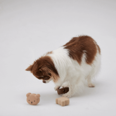 [아아랜드] 코코니베어 실리콘 노즈워크볼 장난감