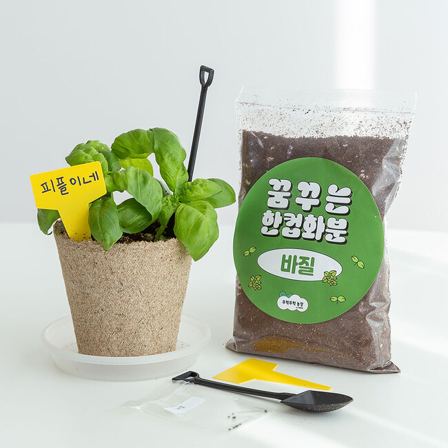 바질 한컵화분 씨앗 새싹 재배 키우기 세트 DIY 키트 - 메인 이미지