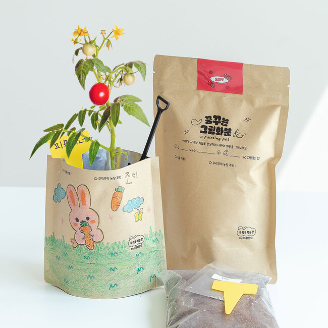 방울토마토 그림화분 씨앗 새싹 재배 키우기 세트 DIY 키트