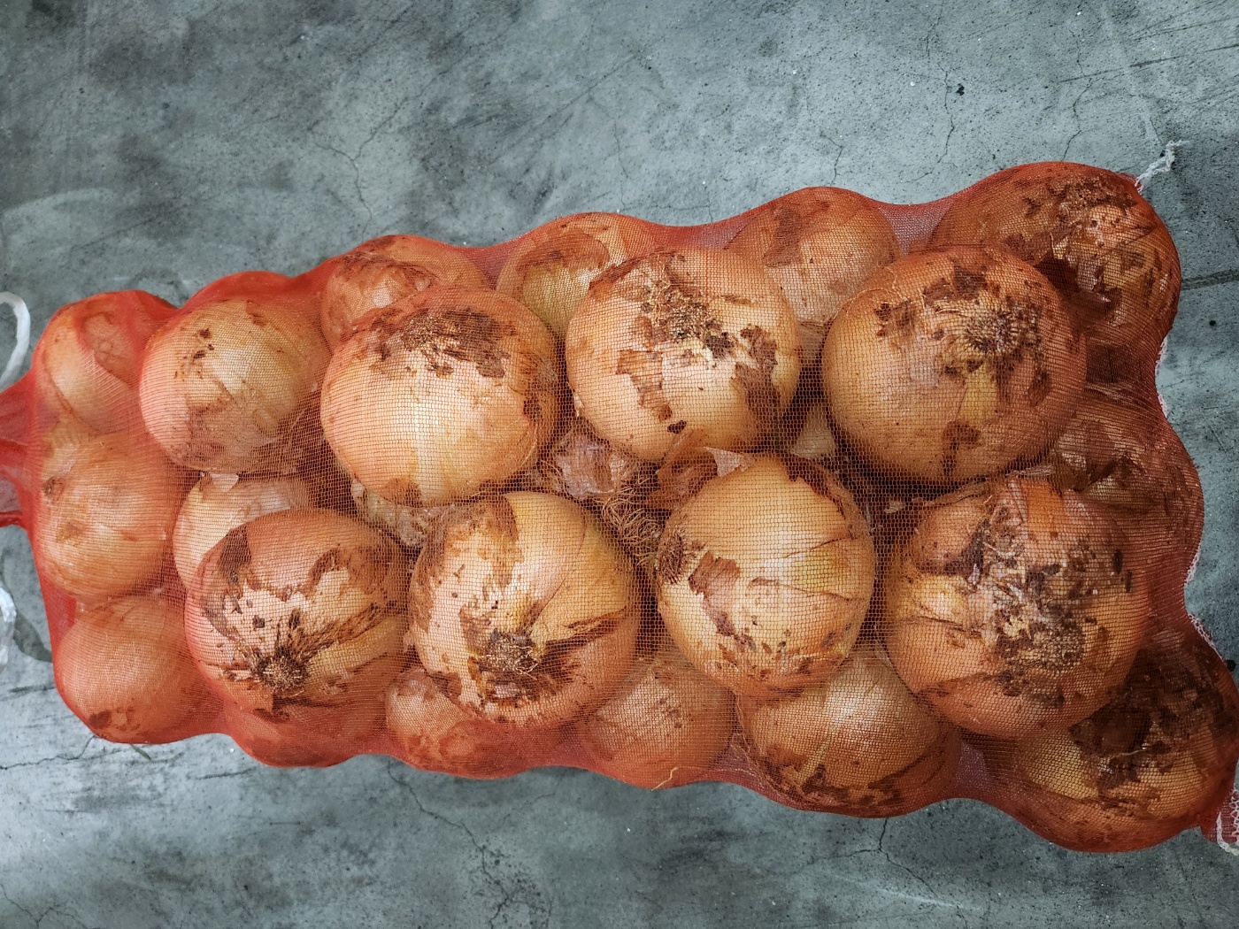 국내산 흰 햇 양파 10kg 장아찌 피클 조림 카레 스프 국 - 상세 이미지 3