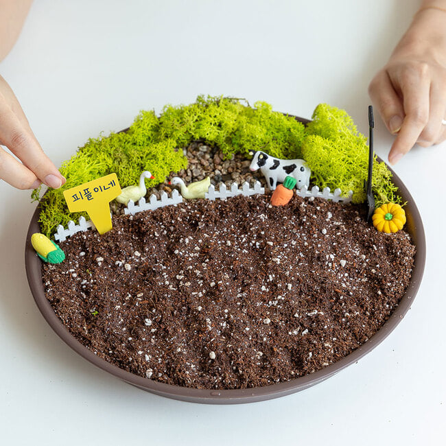 유채새싹 무럭무럭농장 씨앗 새싹 재배 키우기 세트 DIY 키트 - 상세 이미지 2