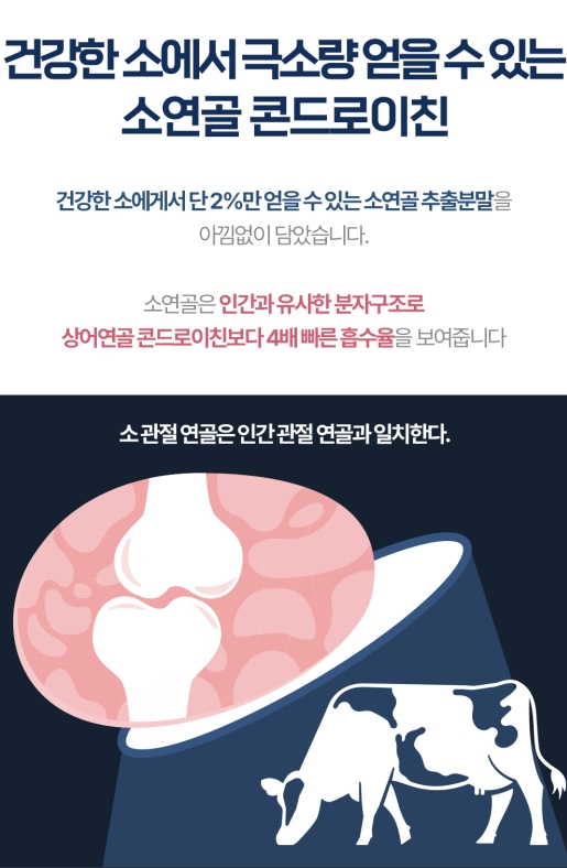 [5차완판 특별 기획전] 프로테오글리칸 콘드로이친 소연골 연어코연골 추출물 프리테오글리칸 - 상세 이미지 4