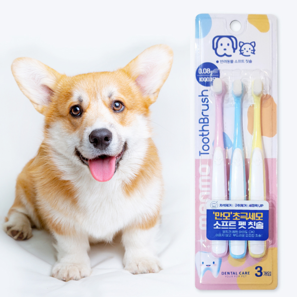 개과천선 파스텔 극세사 강아지 칫솔 3개입 부드러운 칫솔 고양이 치석 입냄새 초극세사모