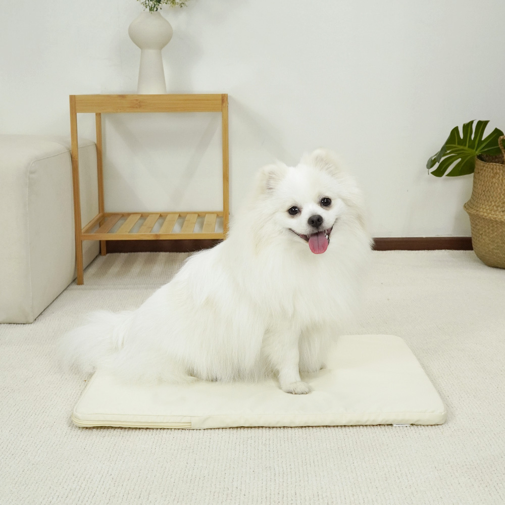 개과천선 시원한 3D 메쉬 디넬 강아지 매트 애견 여름용 쿨 방수 방석 쿨매트 - 상품 이미지