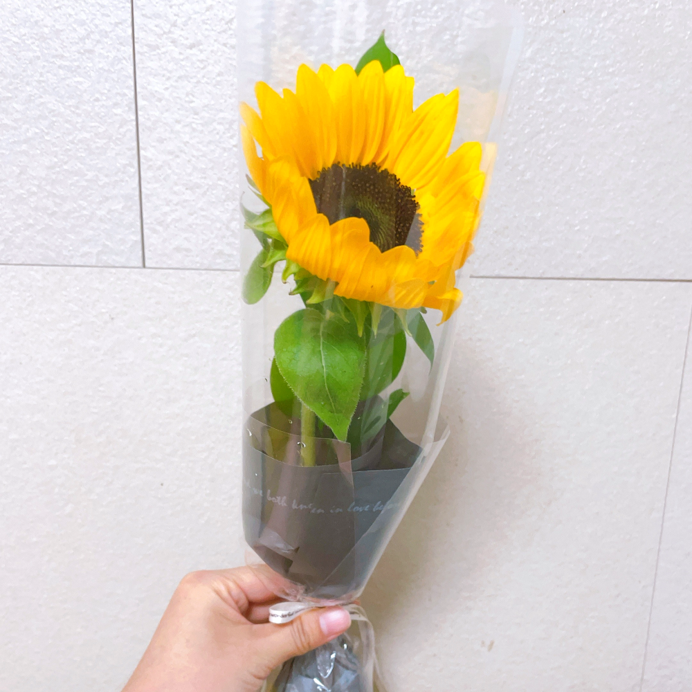 한송이 장미 리시안셔스 카네이션 거베라 해바라기 소국 포장 택배 생화 단체 답례 꽃배달싼곳