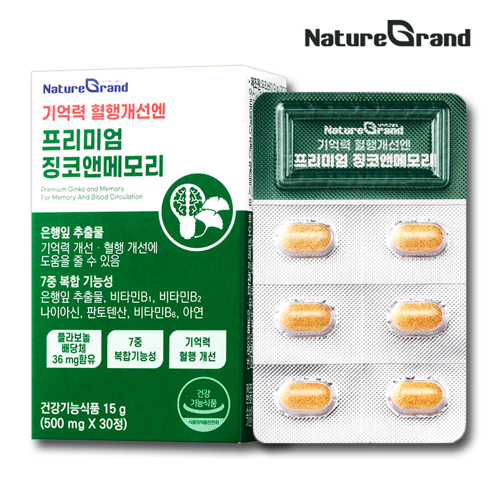 징코플러스 은행잎추출물 영양제 기억력 혈액순환 약1개월